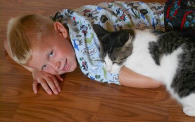 Blessings & Barn Cats