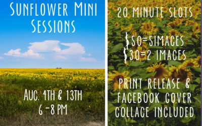 Sunflower Mini Sessions