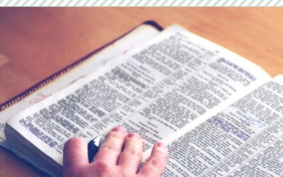 5 Bible Reading Strategies I Love and Recommend