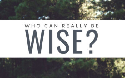 Who Can Be Wise | Studying Proverbs