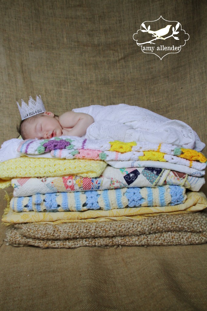 Princess and the Pea New Born Session