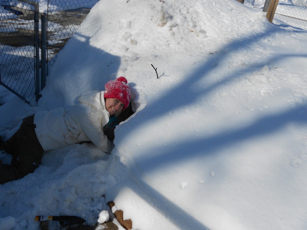 Snow Tunnel Entrance