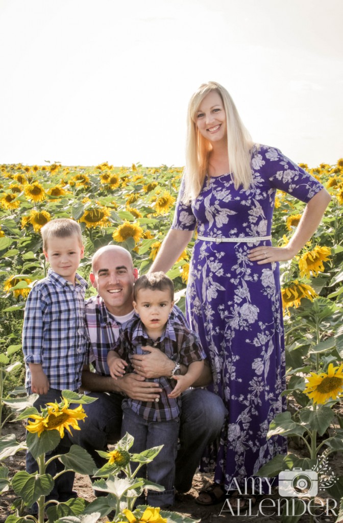 Sunflower mini sessions