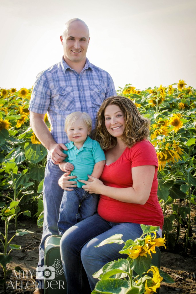 Sunflower mini sessions