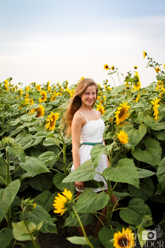 Sunflower session