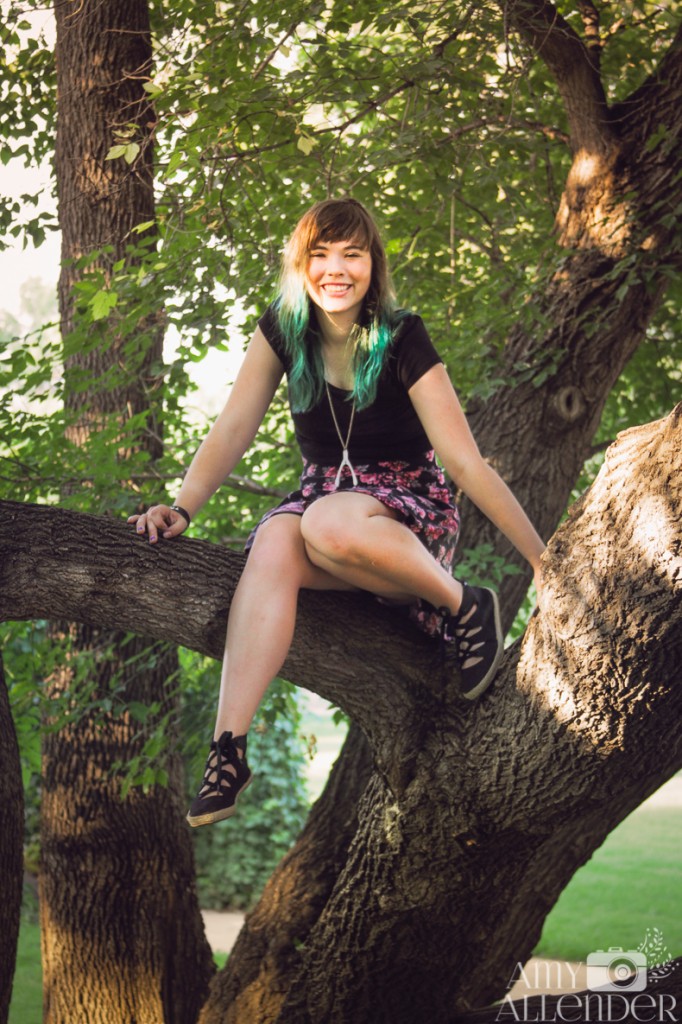 Senior portrait tree