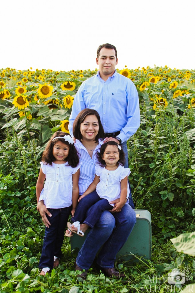 Sunflower Mini Session