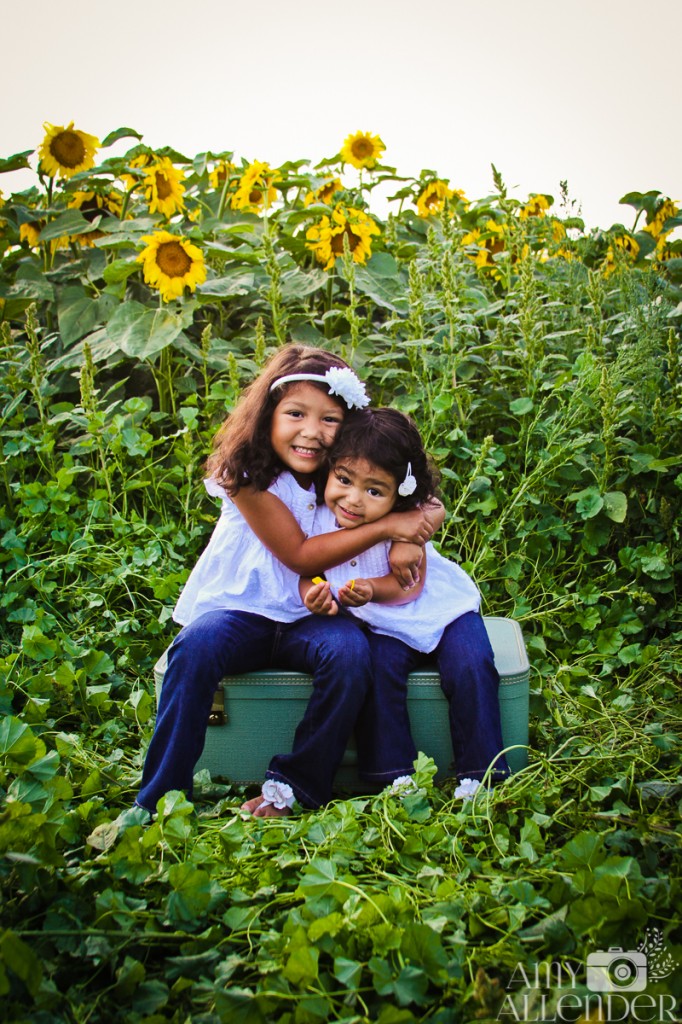 Sunflower Mini Session