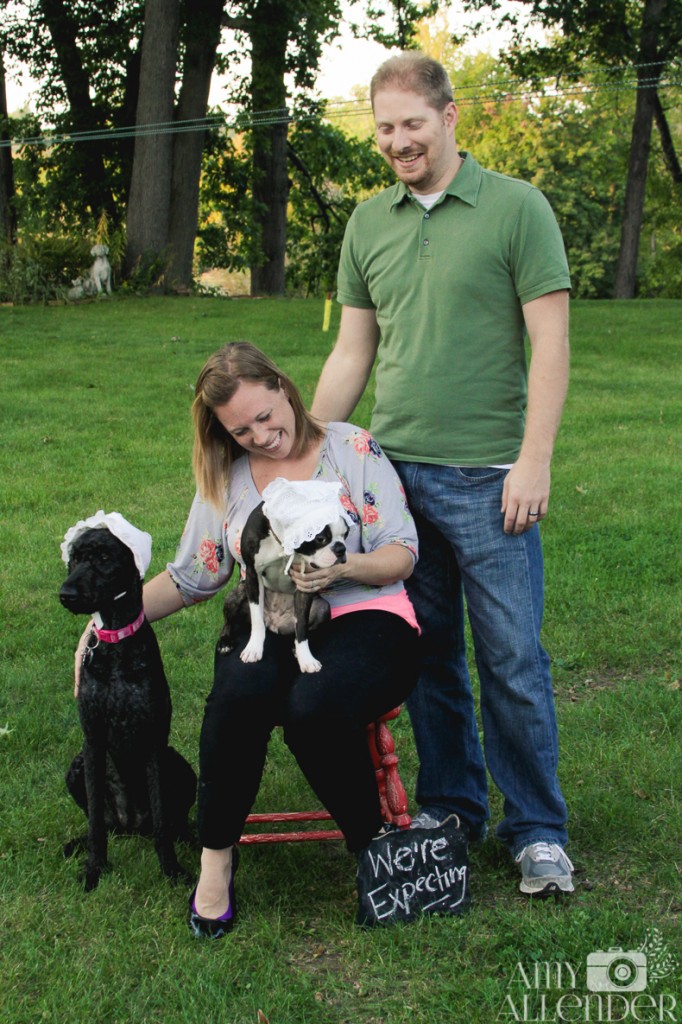 Baby Announcement With Dogs