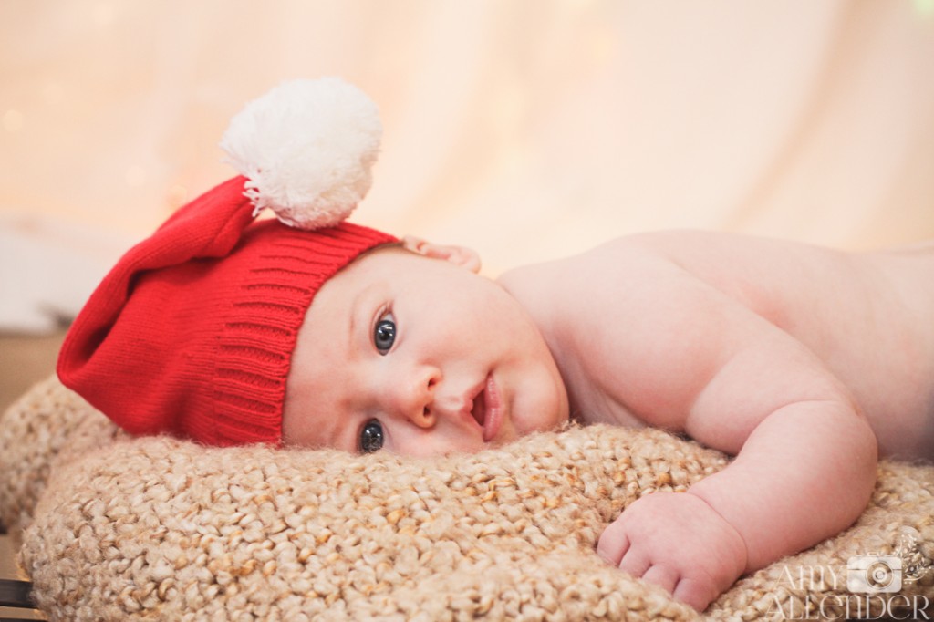 Christmas mini sessions Minot, ND